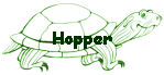 Hopper